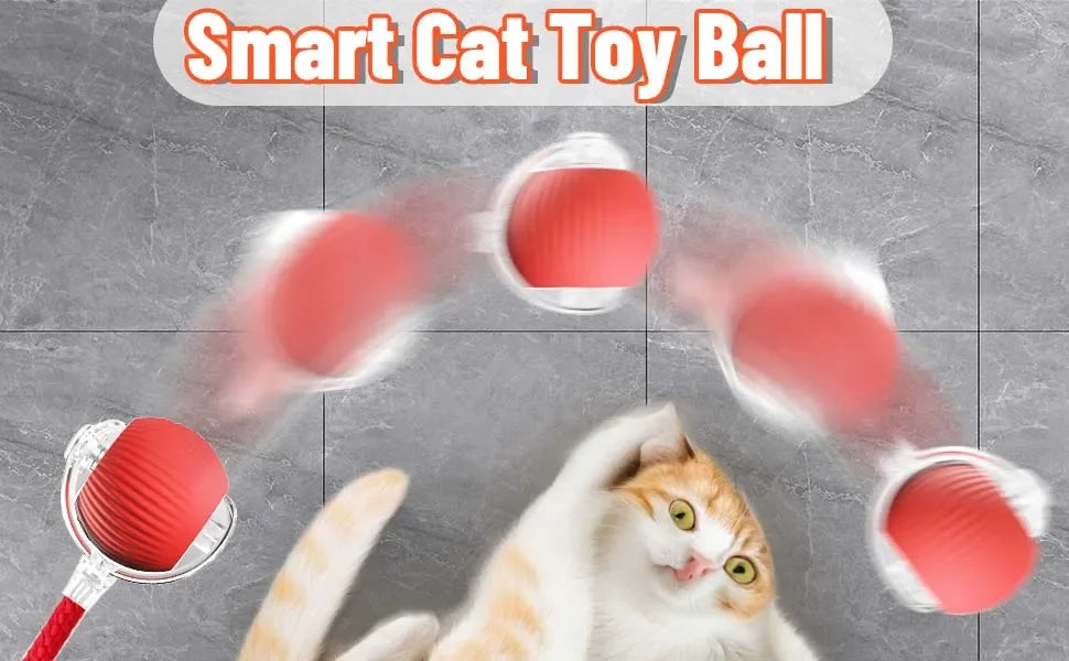 Interactive Cat Ball
