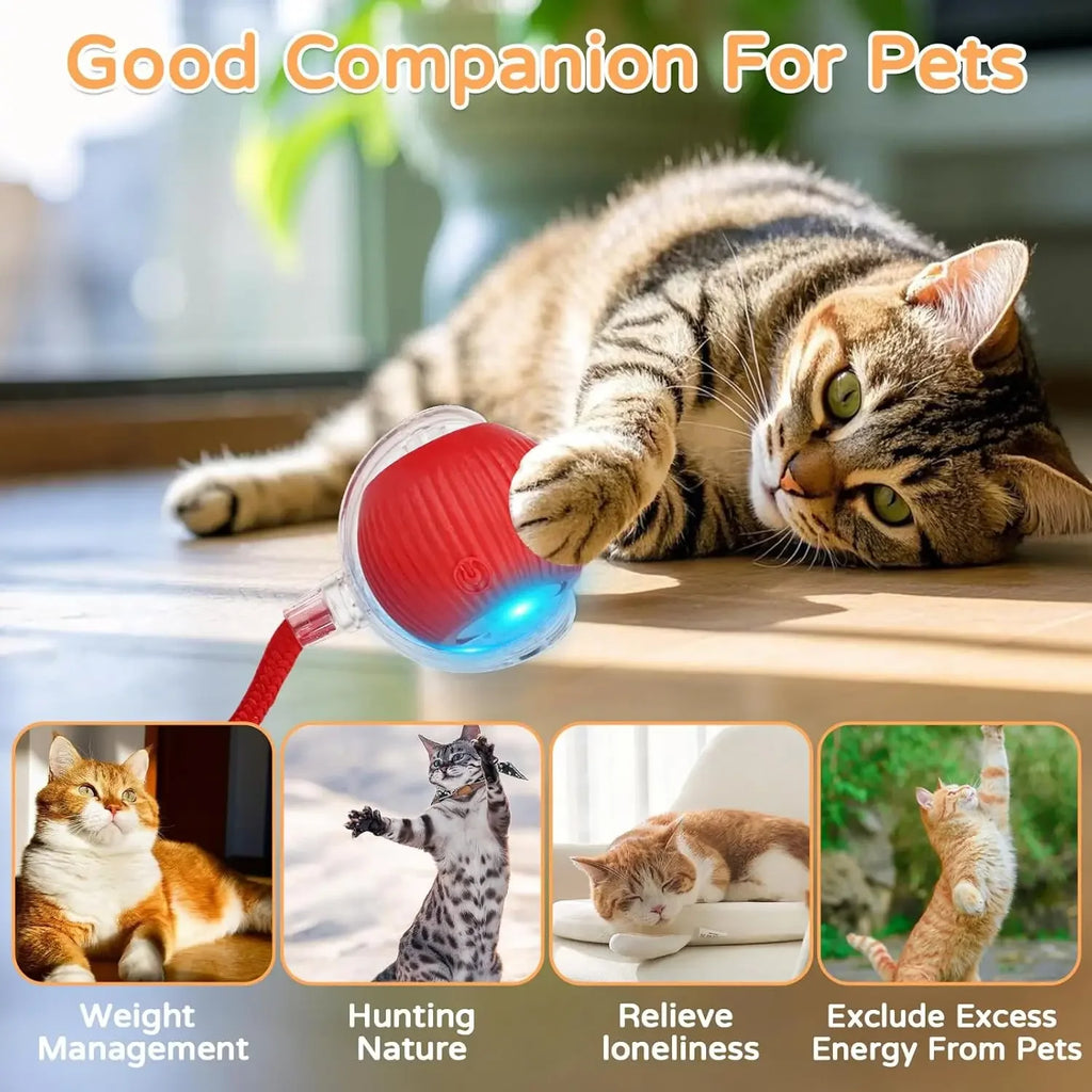 Interactive Cat Ball