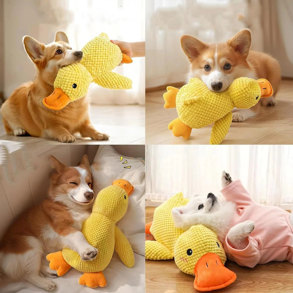 Soft Interactive Dog Chew Toy