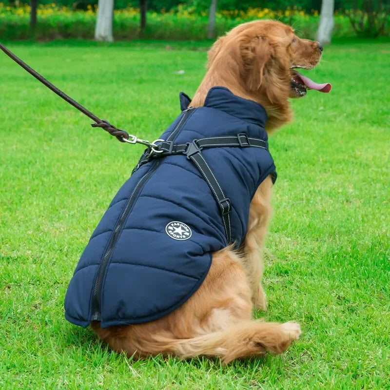 Dog Winter Jacket