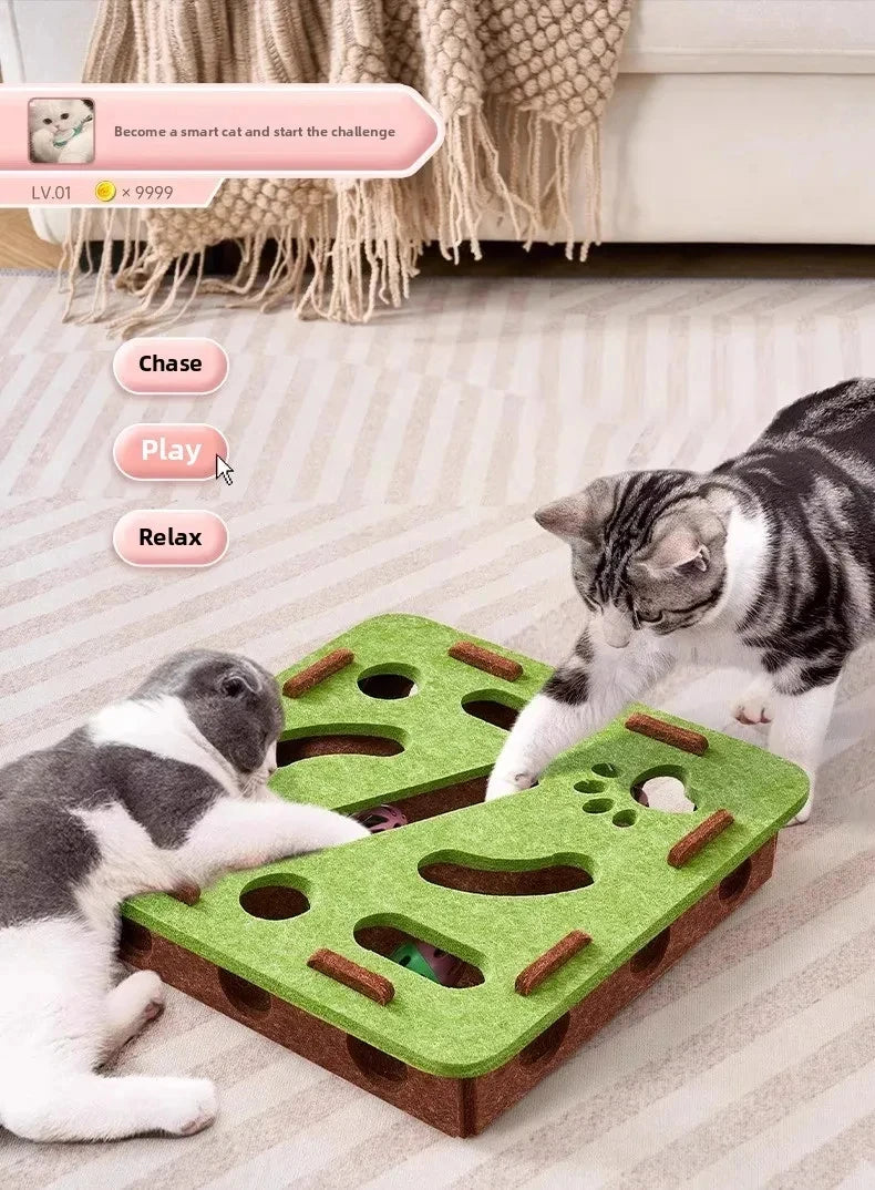 Interactive Cat Scratcher & Play House