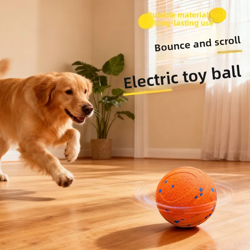 Electric Dog Ball