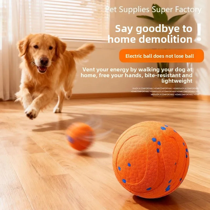 Electric Dog Ball