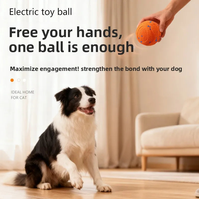 Electric Dog Ball