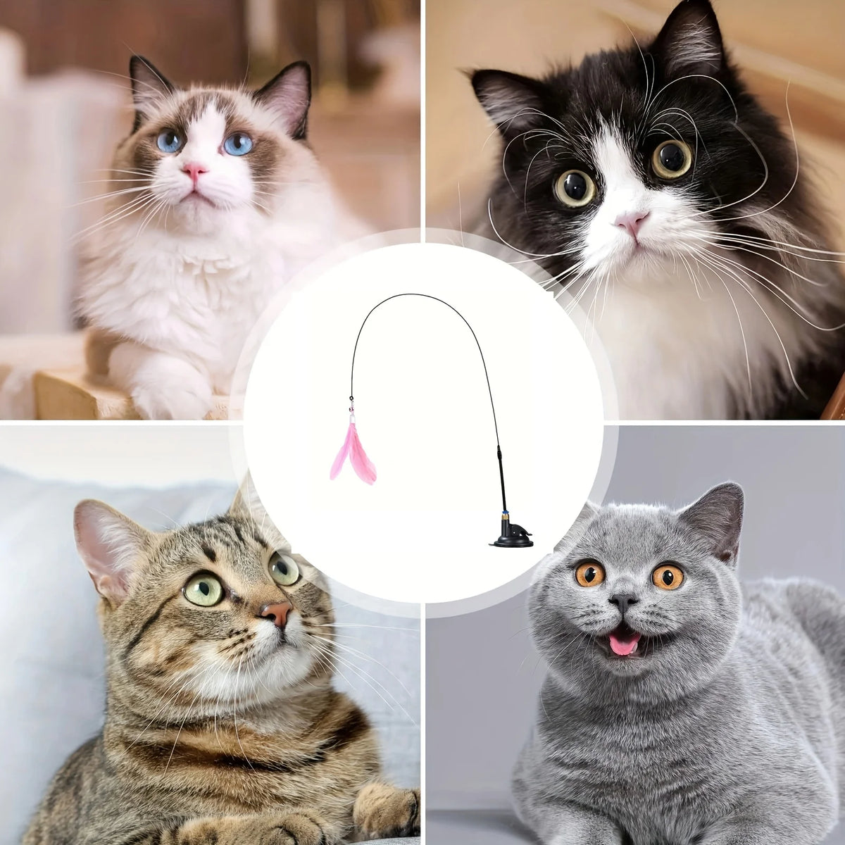 Interactive Feather Cat Toy