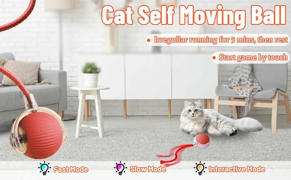 Interactive Cat Ball