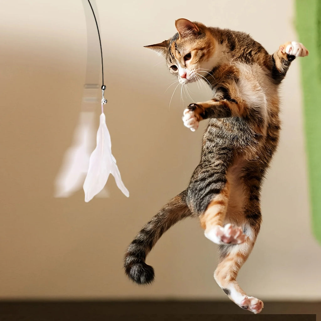 Interactive Feather Cat Toy