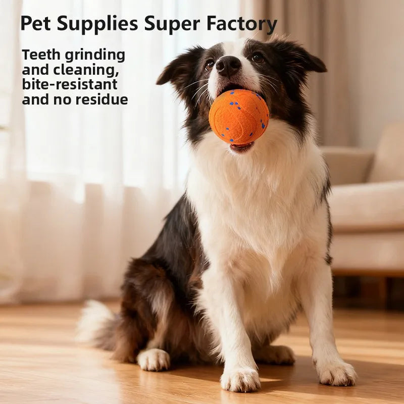 Electric Dog Ball