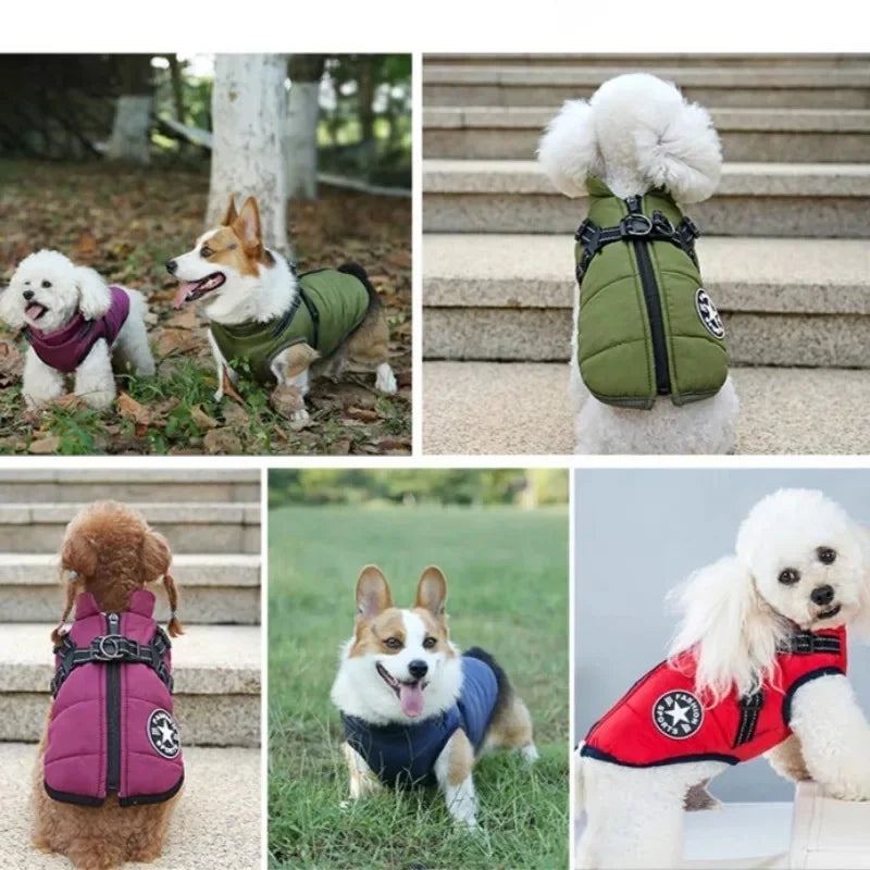 Dog Winter Jacket