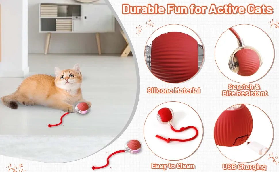 Interactive Cat Ball