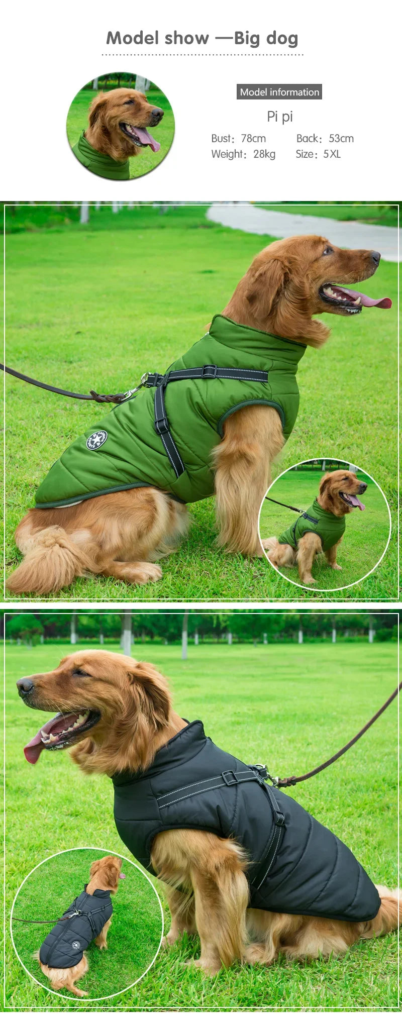 Dog Winter Jacket