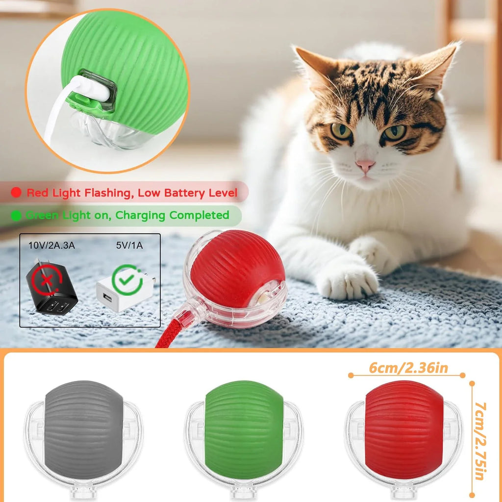 Interactive Cat Ball