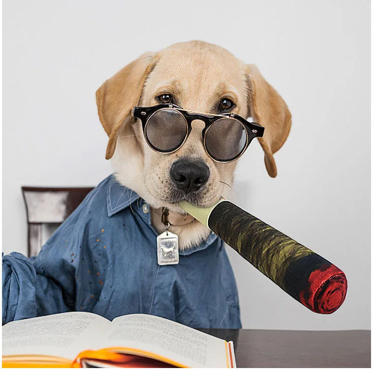 Funny Cigar Chew Toy