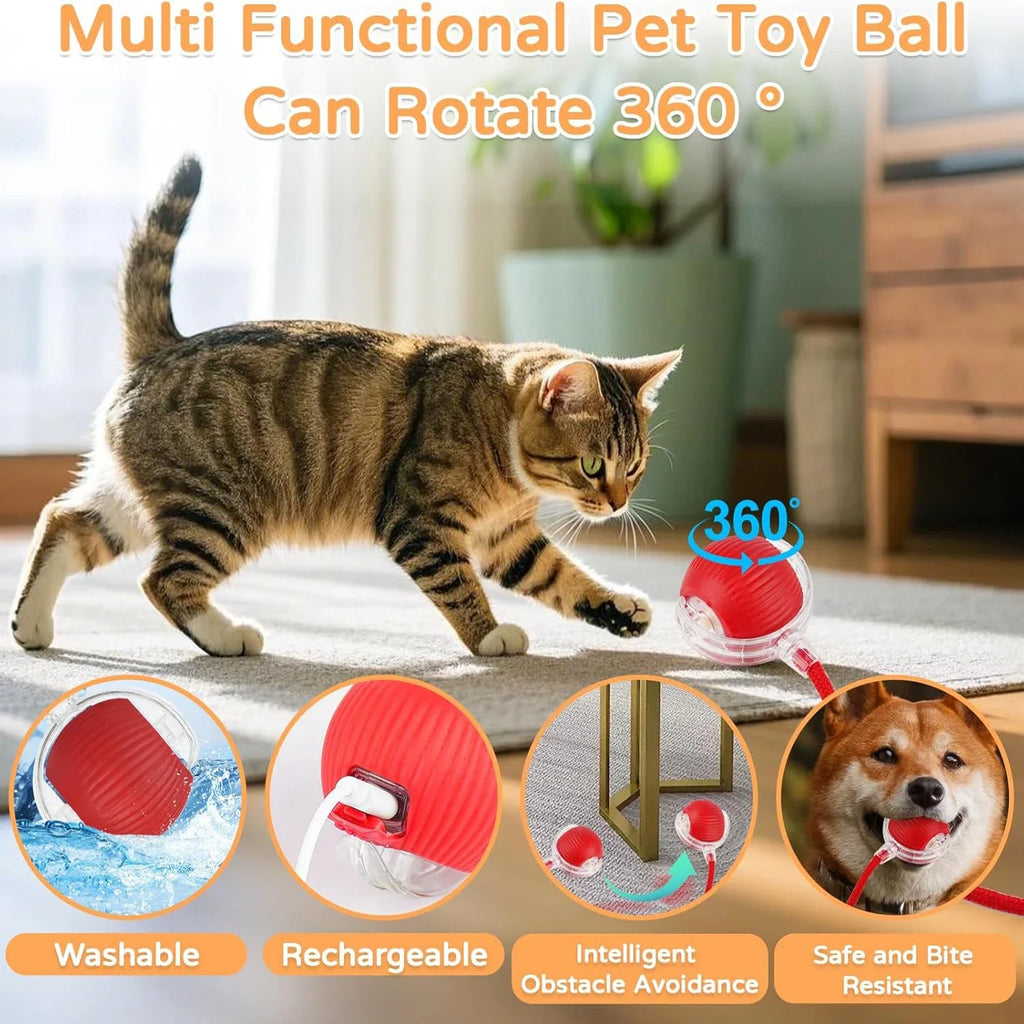 Interactive Cat Ball