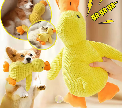 Soft Interactive Dog Chew Toy