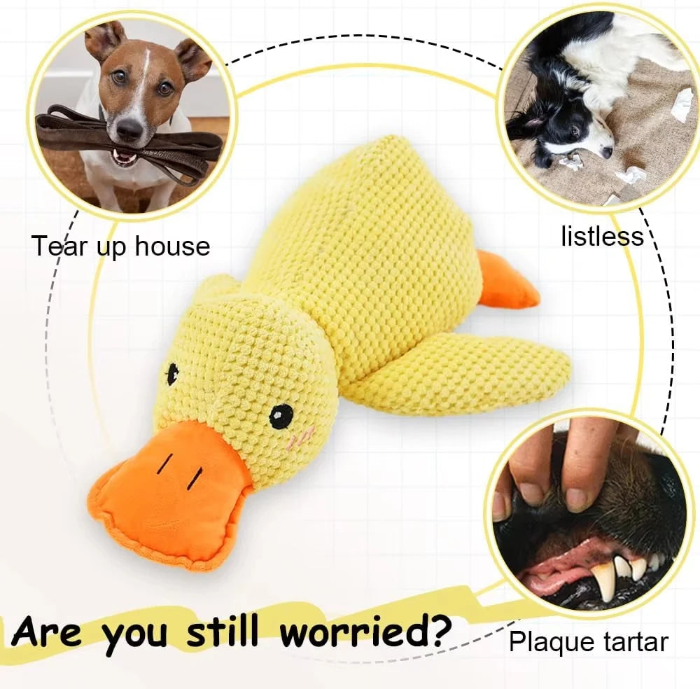 Soft Interactive Dog Chew Toy