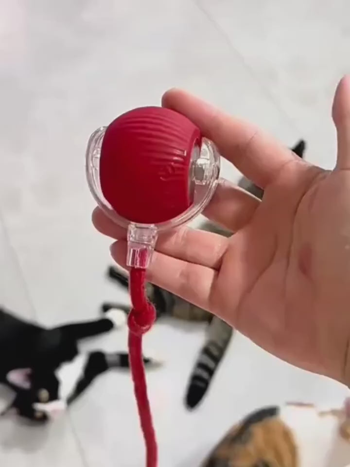 Interactive Cat Ball