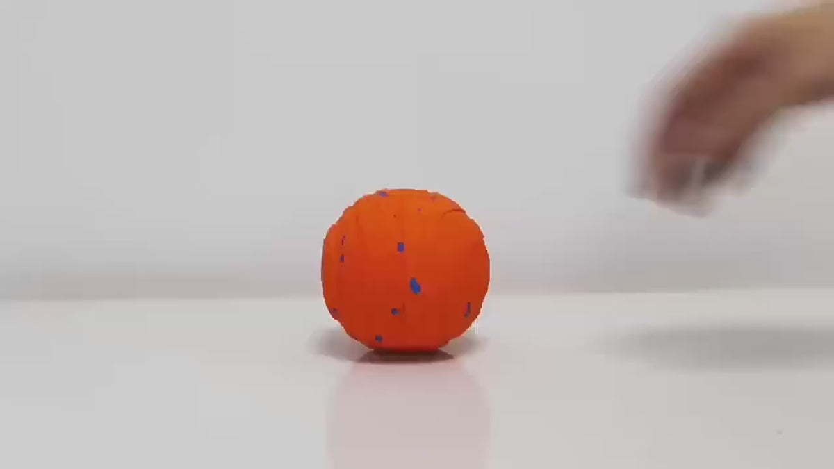 Electric Dog Ball